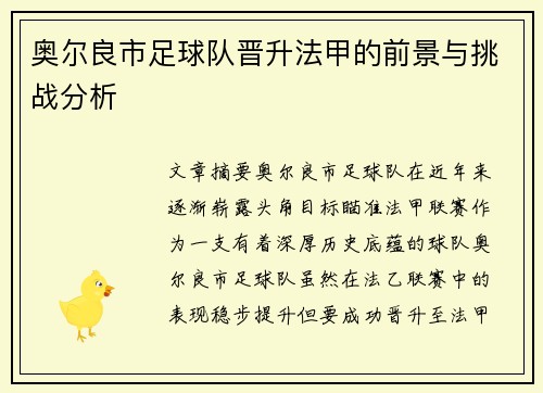奥尔良市足球队晋升法甲的前景与挑战分析