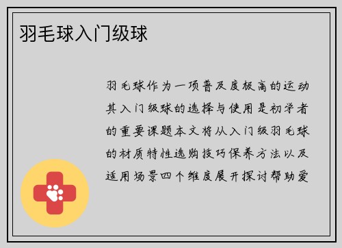 羽毛球入门级球