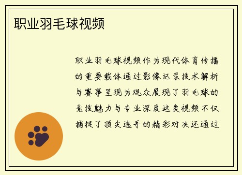 职业羽毛球视频
