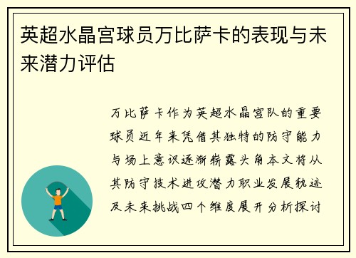 英超水晶宫球员万比萨卡的表现与未来潜力评估